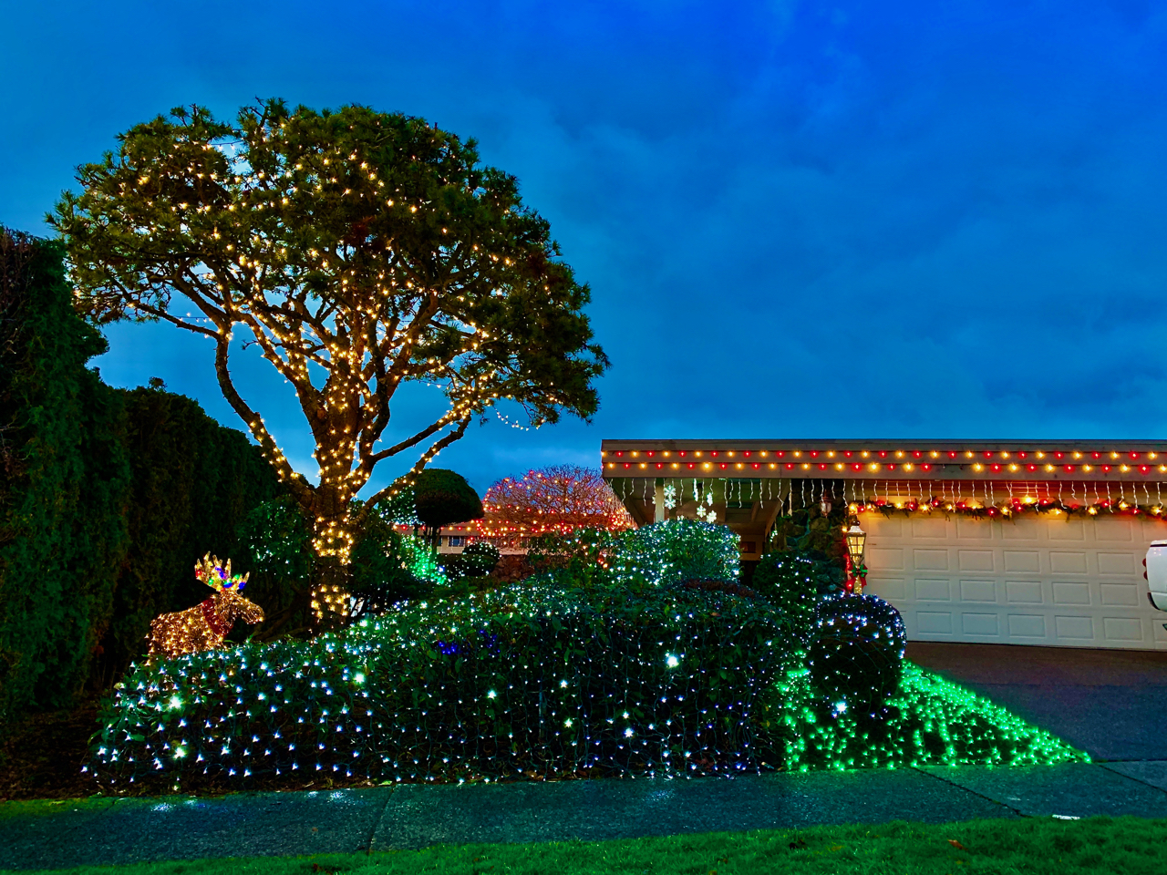 Olympic Manor lights are bright and beautiful near Ballard Westside